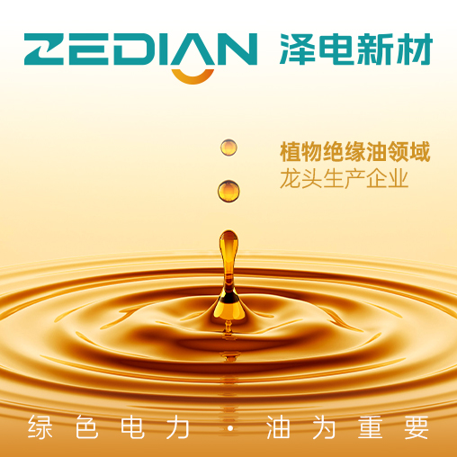 泽电新材