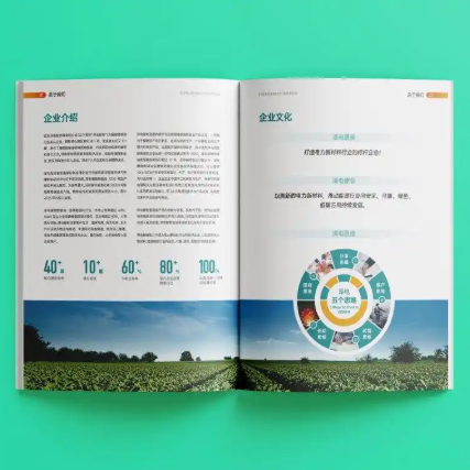 画册这样设计排版，立马高级